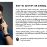 Penyedia Jasa Uji Celah di Bidang Cybersecurity