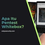 Apa Itu Pentest Whitebox?