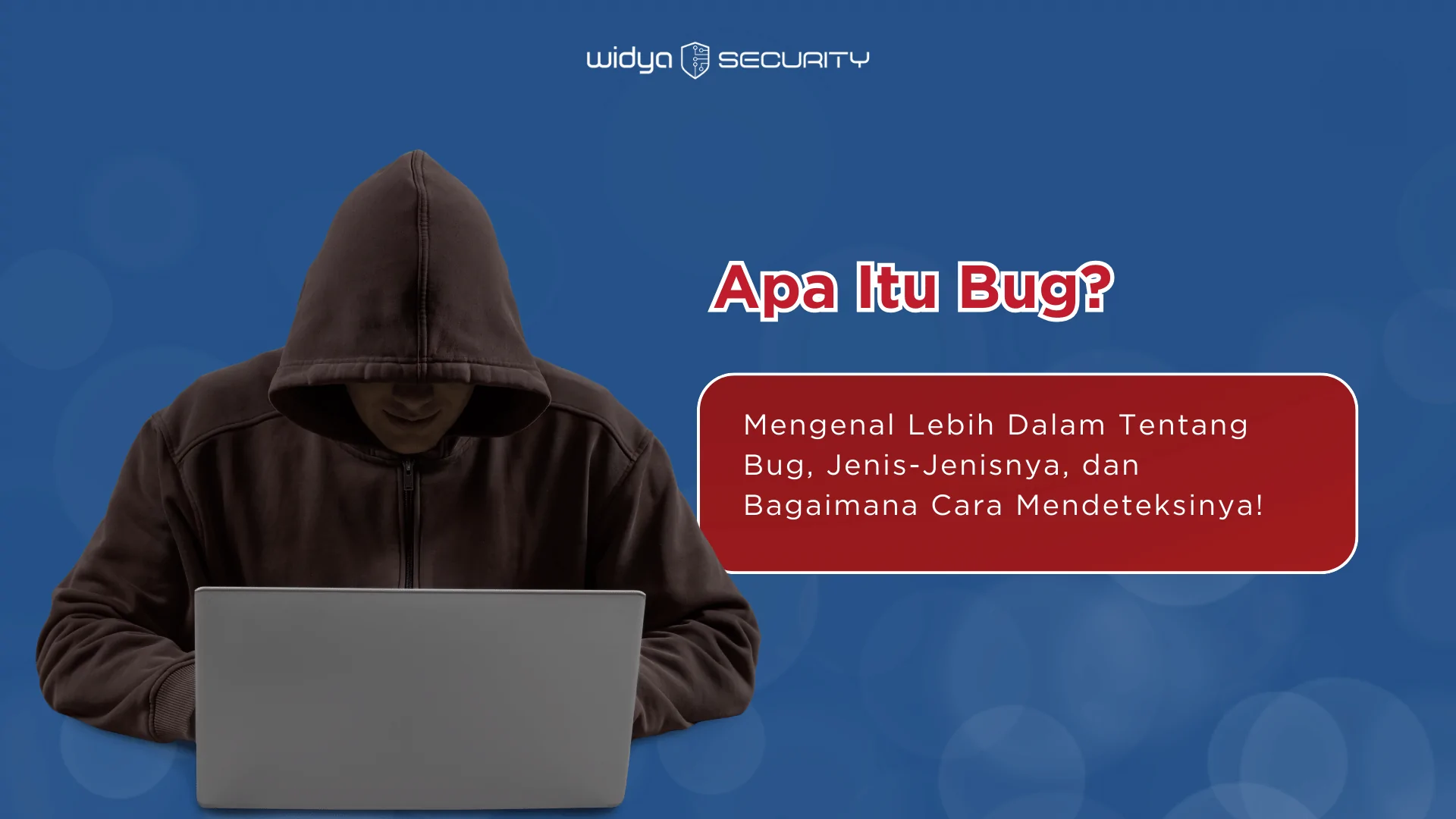 apa itu bug