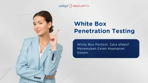 artikel tentang white box pentest
