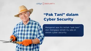 pembajakan aplikasi