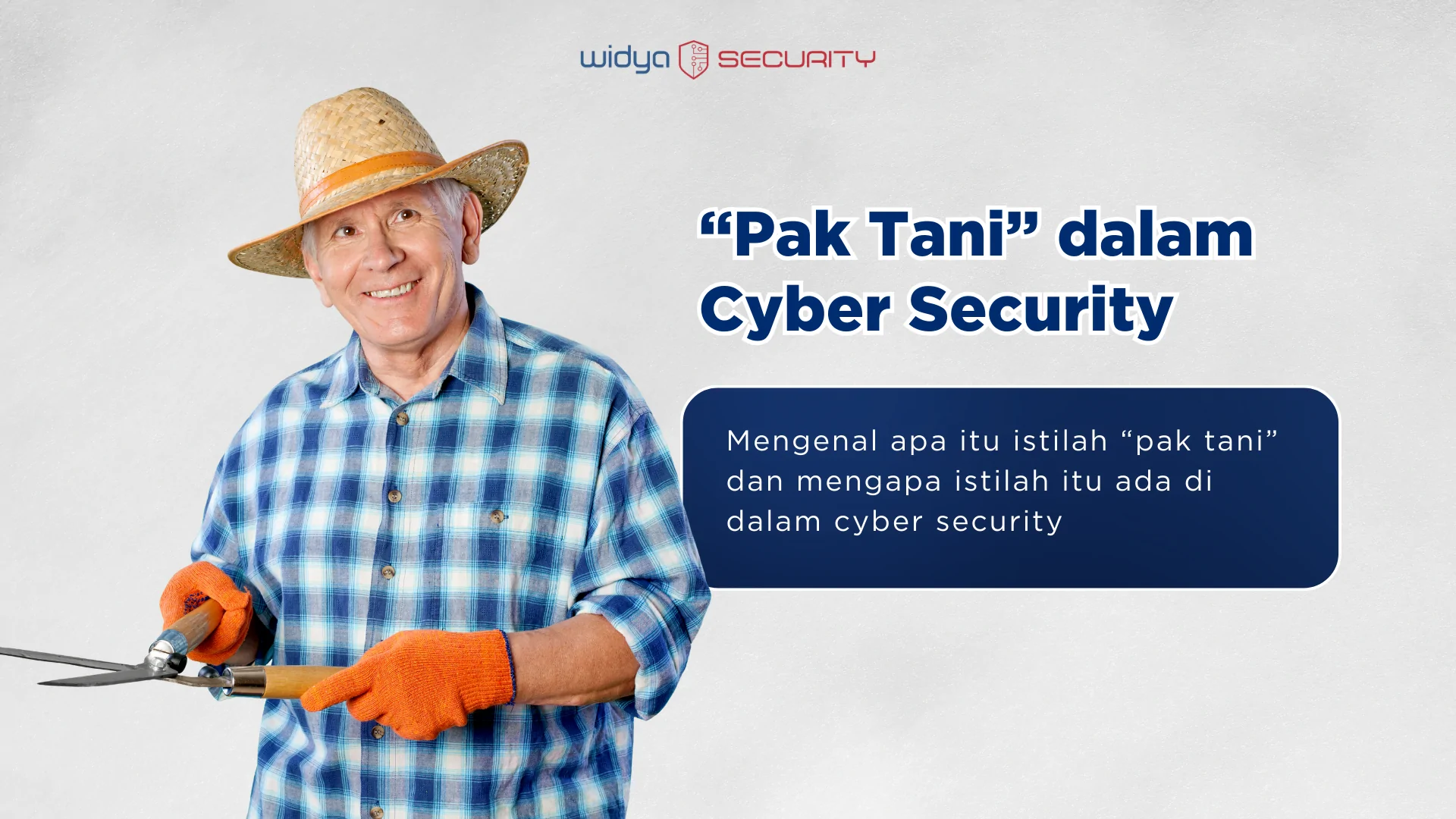 pembajakan aplikasi