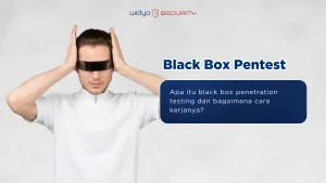 black box pentest