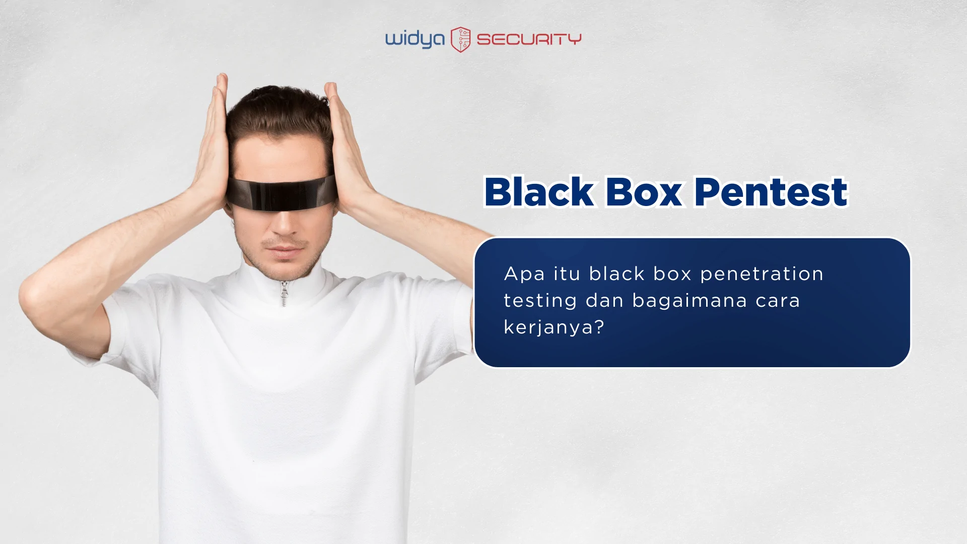 black box pentest