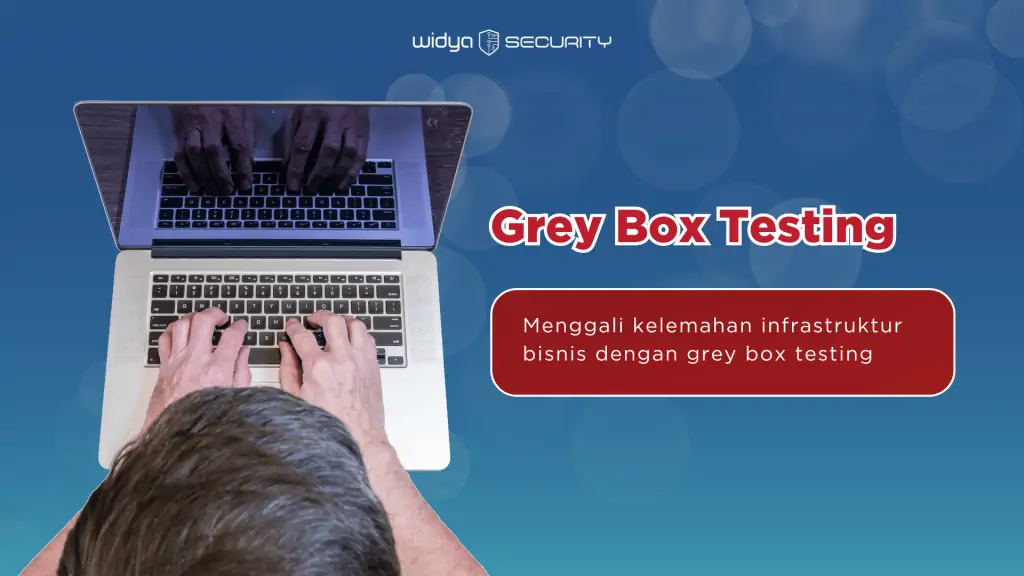grey box testing