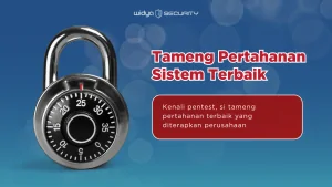 apa itu pentest